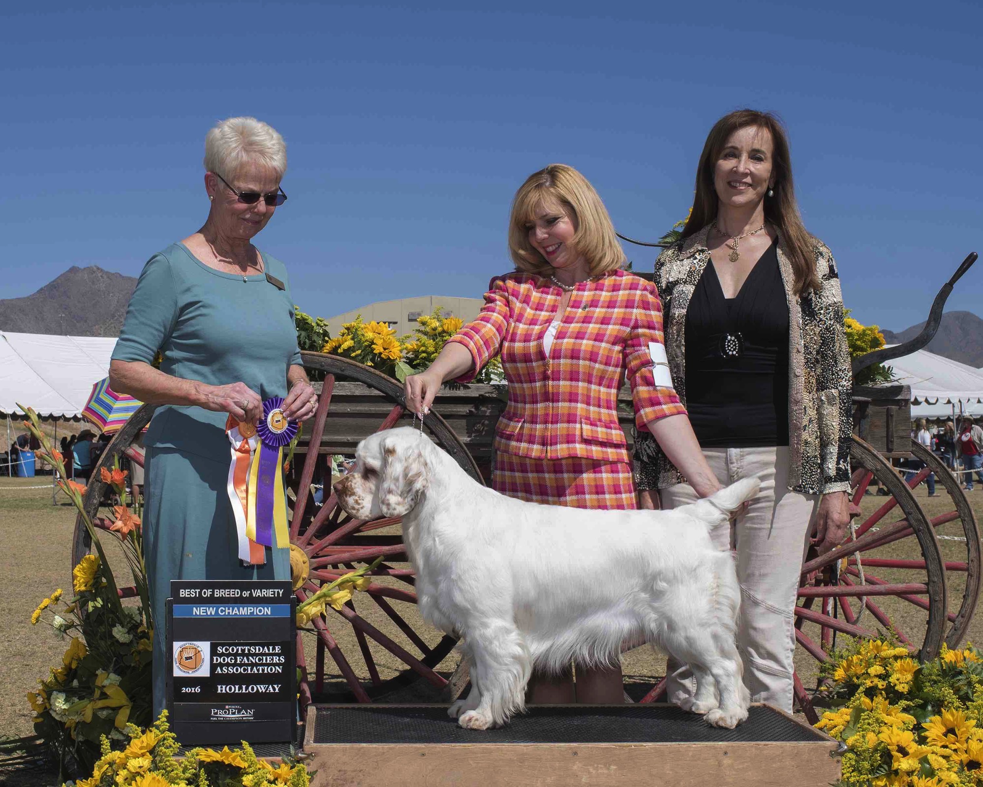 A short description about the picture goes here